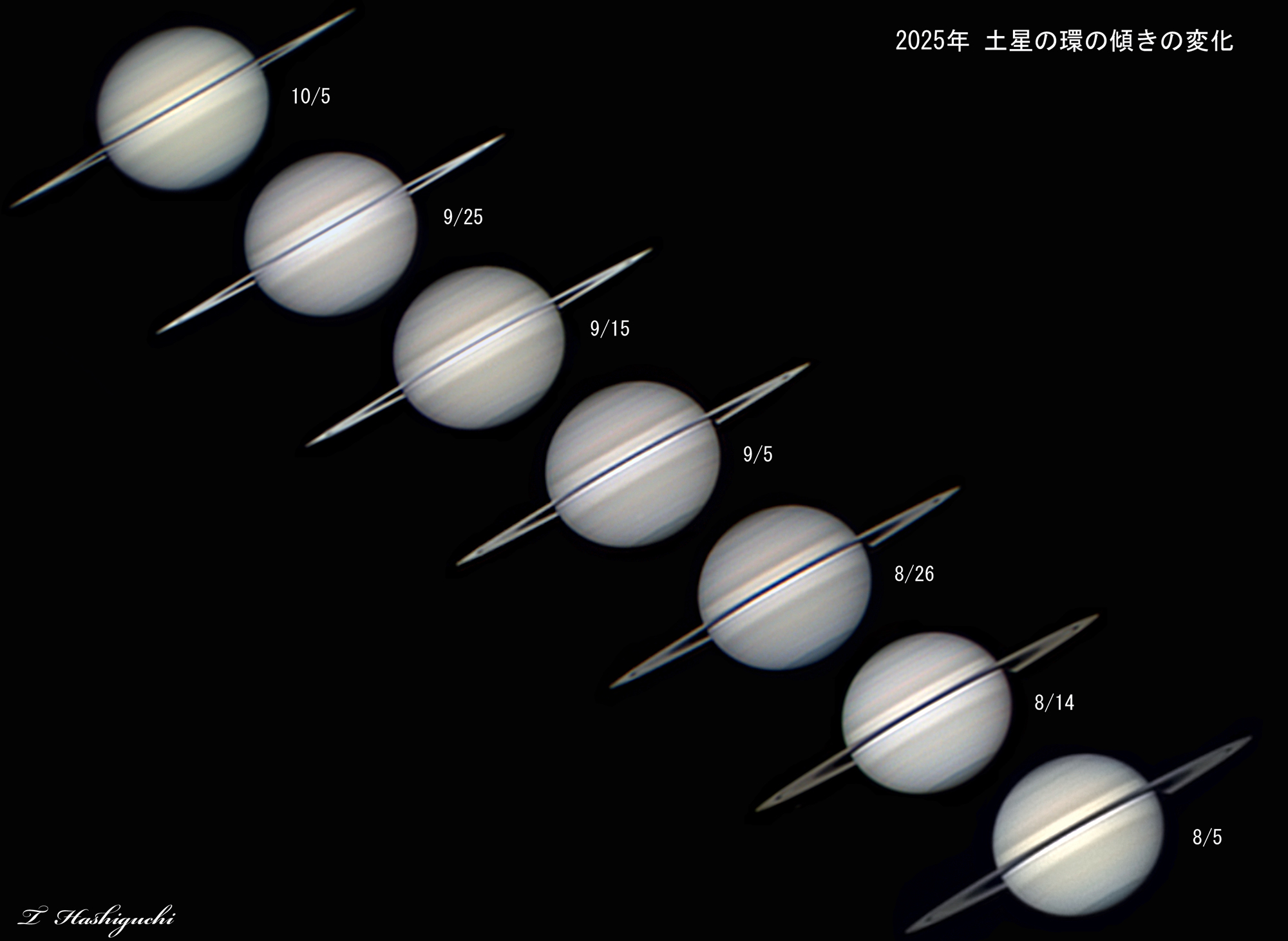 w2025N ẙ̌X̕ωx(2025N85`105)